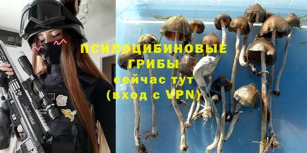 соль курить ск Абаза