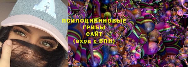 крисы Абдулино