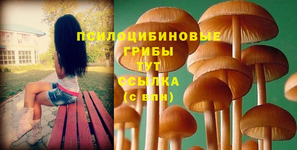 крисы Абдулино