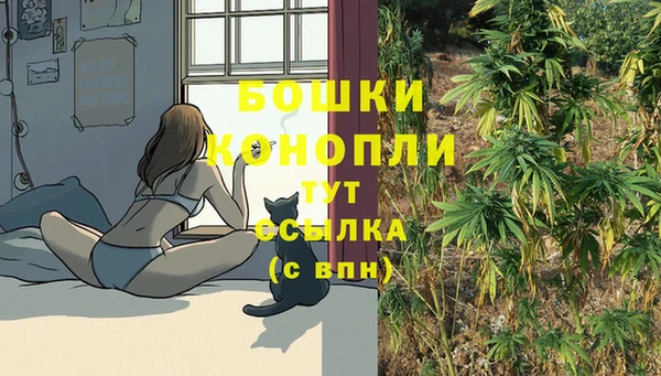 крисы Абдулино